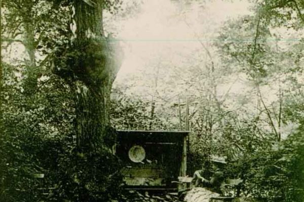 Postkarte vom Teichhaus Bad Nauheim